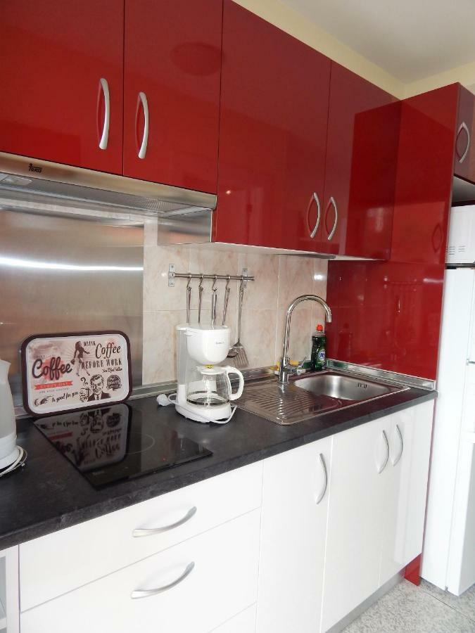 Apartamento Monis Natura Icod De Los Vinos Zewnętrze zdjęcie